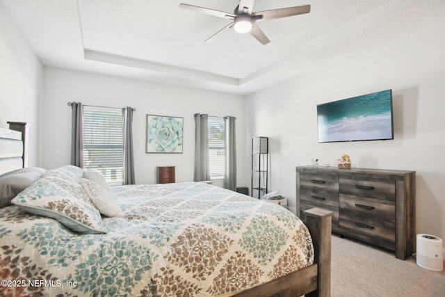 bedroom featuring a tray ceiling, ceiling fan, and carpet