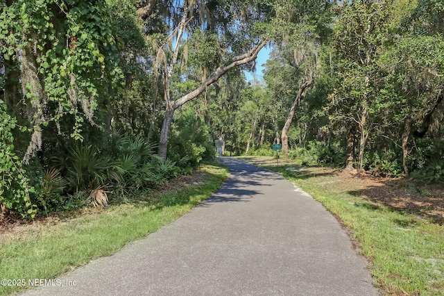 view of road with a wooded view