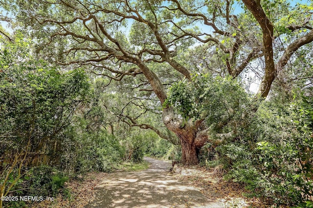 view of community with a view of trees