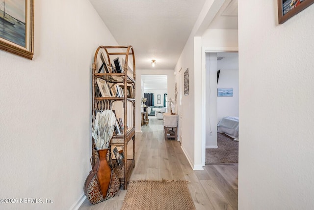 95170 Timberlake Dr, Fernandina Beach, FL 32034 - hall with light wood finished floors and baseboards