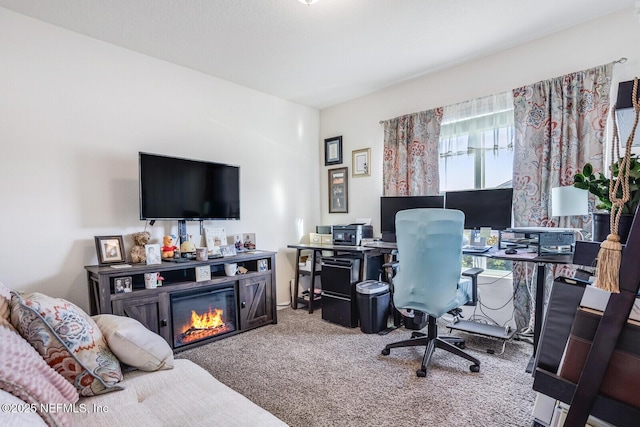 95170 Timberlake Dr, Fernandina Beach, FL 32034 - office featuring a glass covered fireplace and carpet flooring