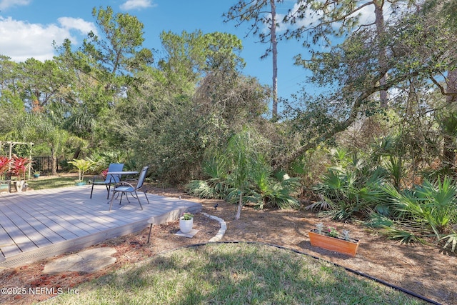 view of yard featuring a wooden deck