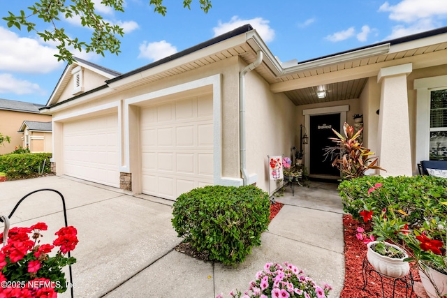 entrance to property featuring stucco siding, an attached garage, and driveway