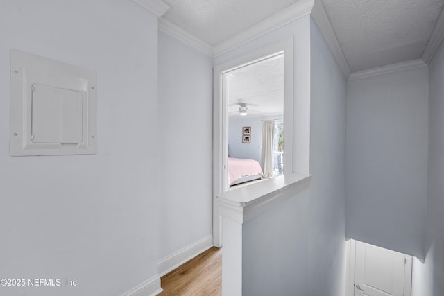 hall featuring a textured ceiling, electric panel, and crown molding