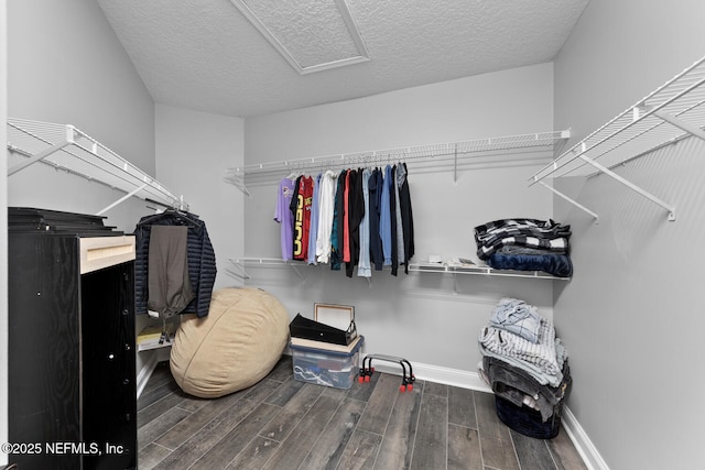 walk in closet featuring wood finished floors