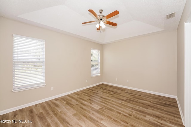 empty room featuring plenty of natural light and a raised ceiling