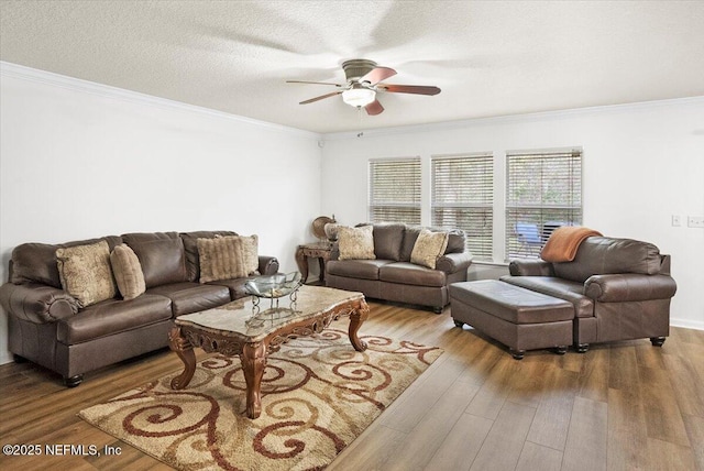 living area featuring a textured ceiling, ornamental molding, and wood finished floors