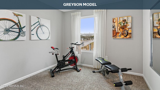 exercise room featuring carpet floors and baseboards