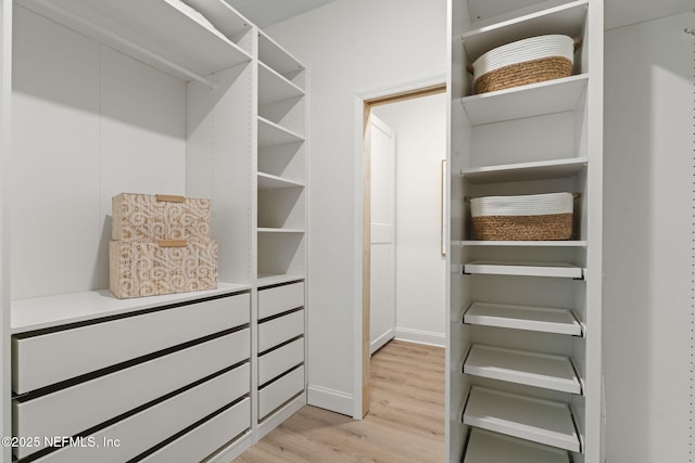 spacious closet with light wood-type flooring