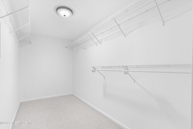 spacious closet with carpet flooring