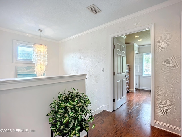 corridor featuring a healthy amount of sunlight, visible vents, dark wood finished floors, and ornamental molding