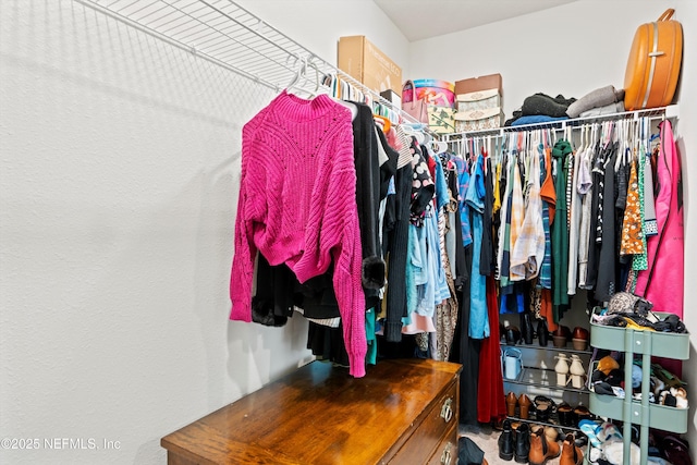 view of spacious closet