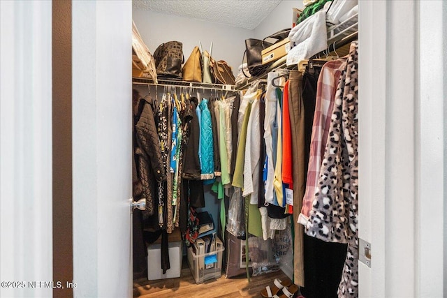 spacious closet with wood finished floors