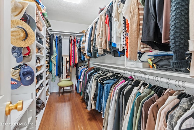 walk in closet featuring wood finished floors