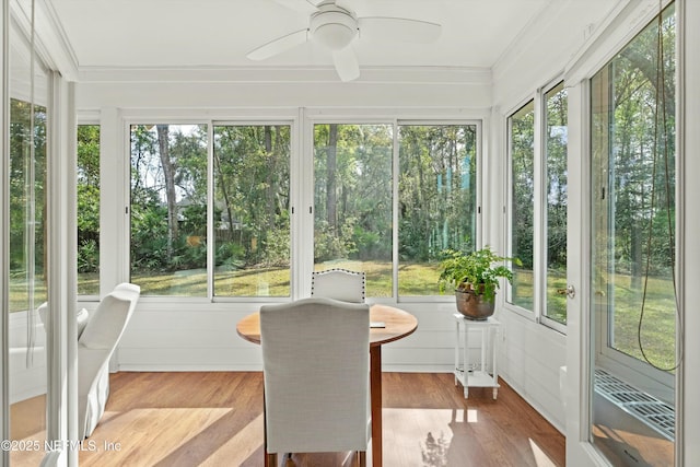 sunroom featuring a ceiling fan