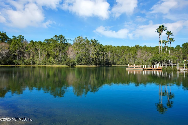 property view of water featuring a view of trees