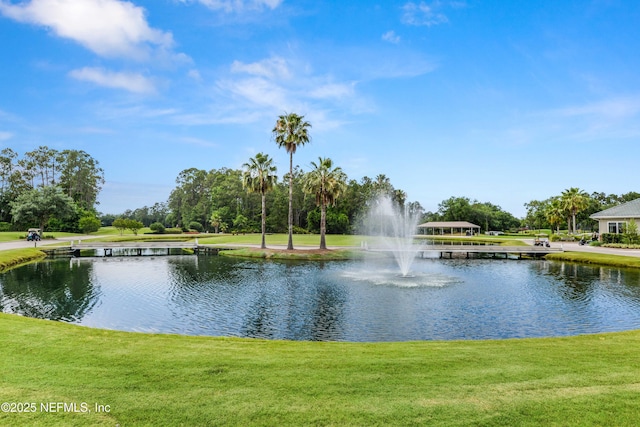 view of water feature