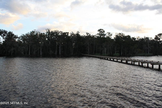 property view of water featuring a forest view