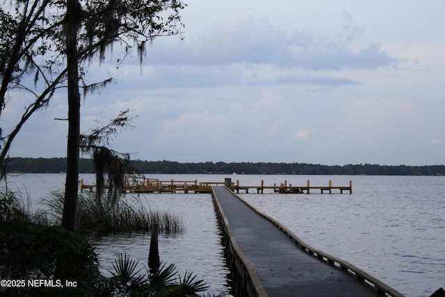 dock area with a water view