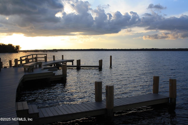 dock area with a water view