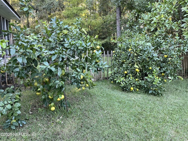 view of yard with fence