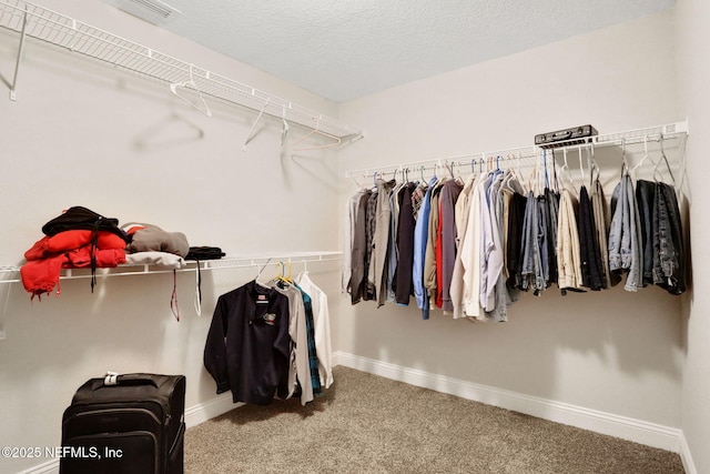 walk in closet with carpet floors