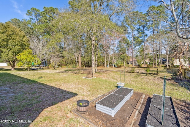 view of yard with a garden