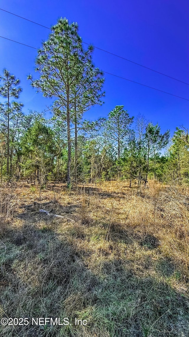 515 Interlachen Blvd, Interlachen FL, 32148 land for sale