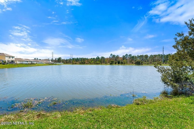 3590 Shiner Dr, Jacksonville, FL 32226 - photo 50