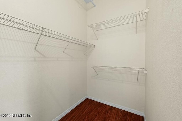 spacious closet with wood finished floors