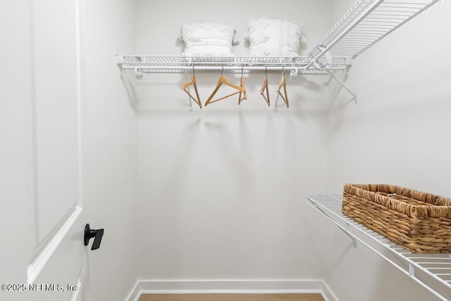 view of spacious closet