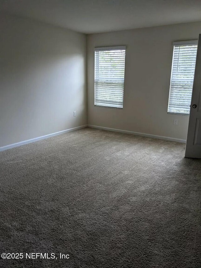 carpeted empty room featuring baseboards and a wealth of natural light