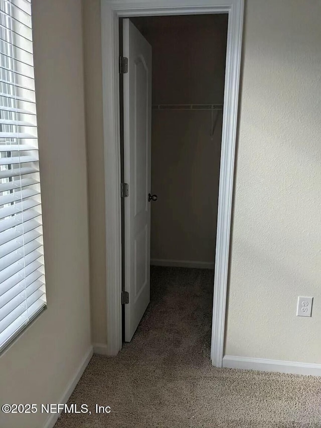 hall with carpet floors and baseboards