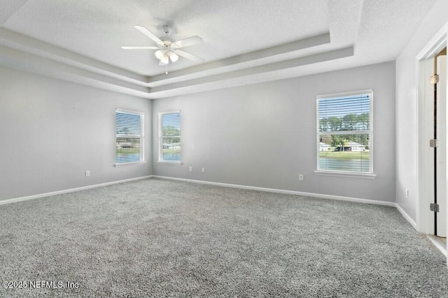 carpeted spare room with plenty of natural light, baseboards, a raised ceiling, and a textured ceiling