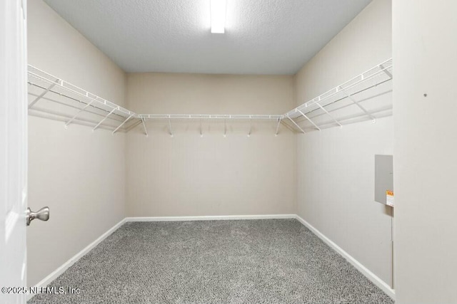 walk in closet with carpet