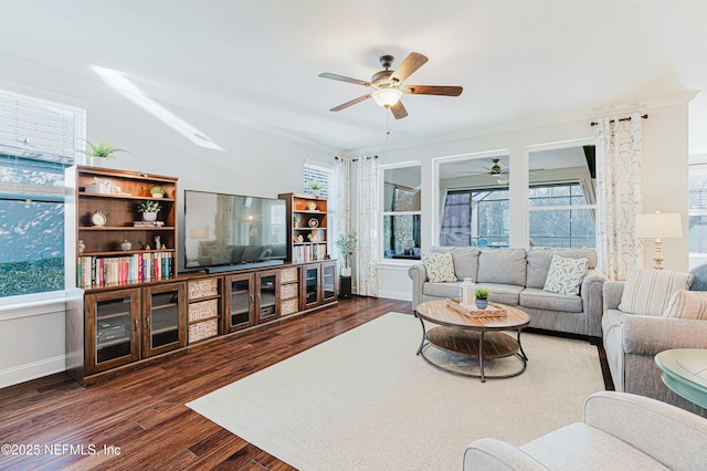 living room with plenty of natural light, baseboards, ceiling fan, and wood finished floors