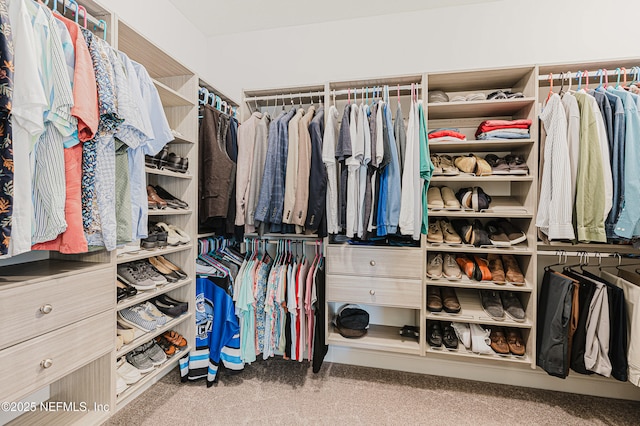 spacious closet with carpet floors