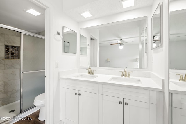 full bathroom featuring toilet, a shower stall, double vanity, and a sink