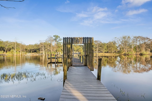 dock area featuring a water view