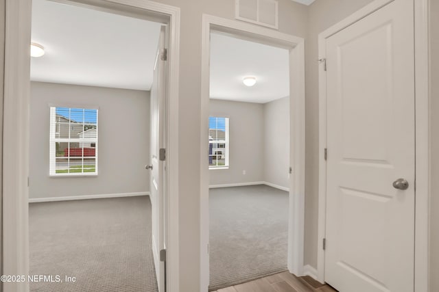 hallway with carpet, visible vents, and baseboards