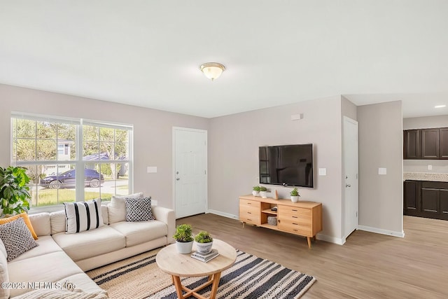 living room featuring baseboards and light wood-style floors