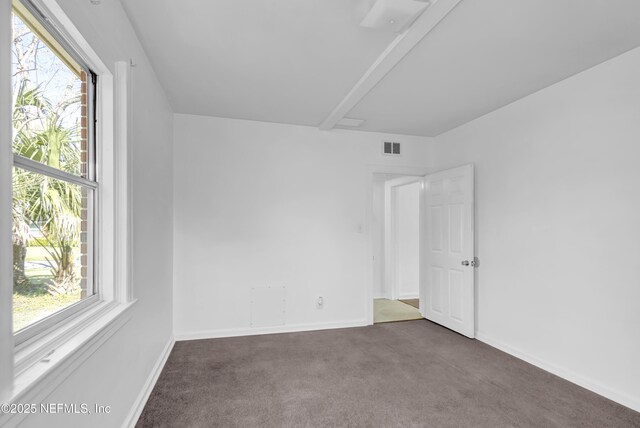 4804 Elizabeth Ter, Jacksonville, FL 32205 - carpeted empty room with visible vents, a wealth of natural light, and baseboards