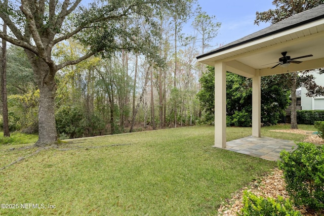 view of yard with a patio area and ceiling fan