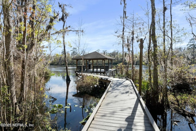 dock area with a water view