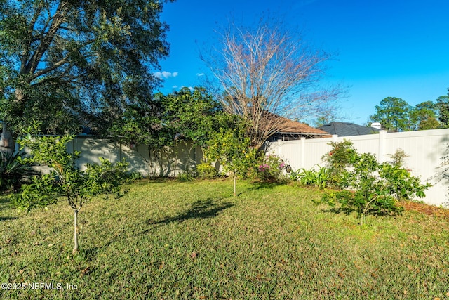 view of yard with a fenced backyard