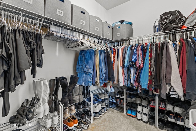 spacious closet featuring carpet flooring