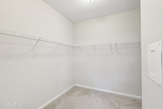 walk in closet with light colored carpet