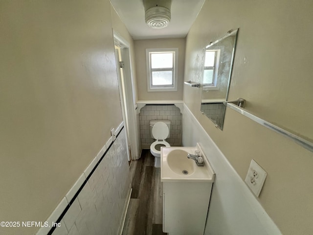 bathroom with vanity, toilet, and wood finished floors