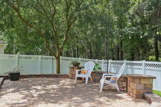 741 W Kings College Dr, Saint Johns, FL 32259 - fenced backyard featuring a patio area