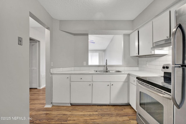 kitchen featuring light wood-type flooring, under cabinet range hood, stainless steel appliances, and a sink